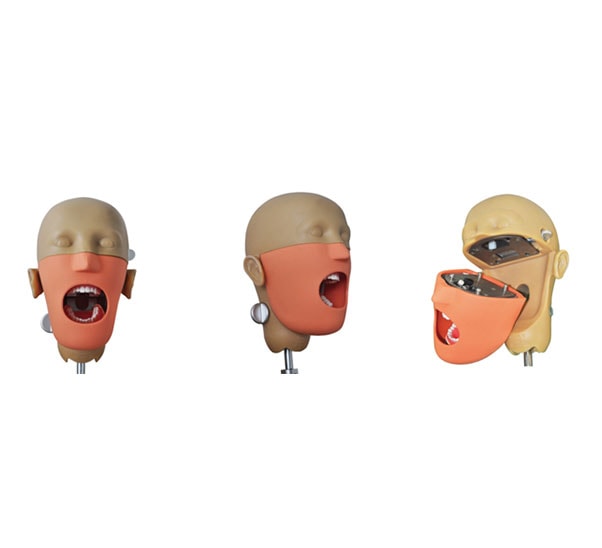 Teaching-System-img-6.jpg Teaching-System